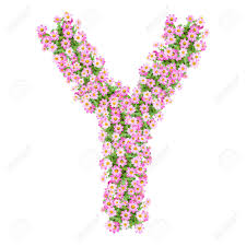 Select from 1336 premium letter y of the highest quality. Buchstabe Y Alphabet Mit Zinniablume Abc Konzept Typ Als Logo Typografie Design Lizenzfreie Fotos Bilder Und Stock Fotografie Image 40321166
