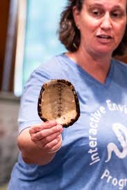 Photo Gallery: June 24, 2025