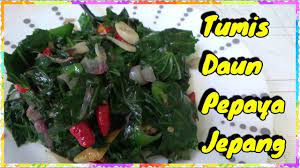 Tumis Daun Pepaya Jepang Resep Masakan Rumahan Youtube In 2021 Pepaya Tumis Resep Masakan