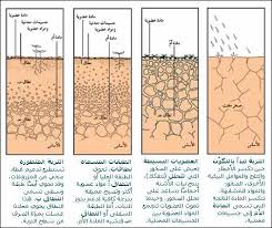 بحث حول مكونات التربة موارد