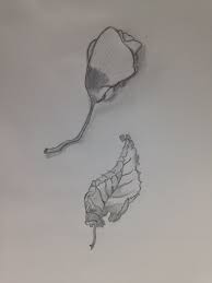 Dead Leaves Flower Drawing Leaf Drawing Flower Drawing Drawings