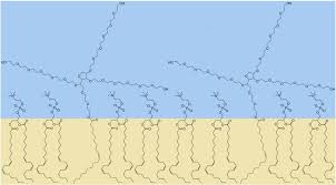 Beverages | Free Full-Text | Beverage Emulsions: Key Aspects Of Their  Formulation And Physicochemical Stability
