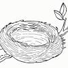 Free eggs in nest coloring page printable. Https Encrypted Tbn0 Gstatic Com Images Q Tbn And9gctjms6yqrbe5vrbvfx1g7esj2znajck3tz2vn0whurzjkvijsha Usqp Cau