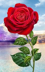 If you're looking for the best love flower wallpaper then wallpapertag is the place to be. Rose Magic Touch Flowers Rose Flower Wallpaper Beautiful Flower Drawings Flower Download
