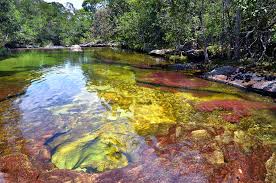 El municipio más cercano es la macarena. Donde Queda Cano Cristales Destincolombia Com