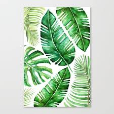 Buy Tropical Leaves Canvas Print By Blursbyaishop Worldwide Shipping Available At Society6 Com J Canvas Art Painting Acrylic Plant Painting Tropical Painting