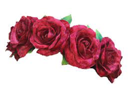 Pin By Taylor Yarborough On Resources Flower Crown Flowers Crown Png