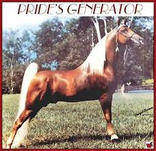 Tennessee Walking Horse Prides Generator 753925 Home Page