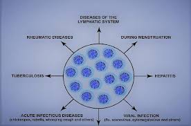 Image result for Absolute Lymphocyte Count Estimation of CD4 Count