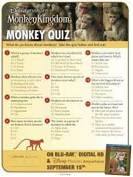 Monkeys are very sharp and intelligent and these monkey trivia questions and answers will help you learn more about different types of monkeys. Disneynature Monkey Kingdom Trivia Quiz Mama Likes This Monkey Kingdom Trivia Quiz Quiz