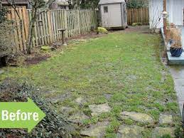 We offer 3 tips for remedying this issue. Before After A Muddy Backyard Transformed Pith Vigor By Rochelle Greayer Dog Yard Landscaping Diy Backyard Landscaping Muddy Backyard