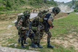 Régiment d'infanterie chars de marine. 3e Regiment De Parachutistes D Infanterie De Marine