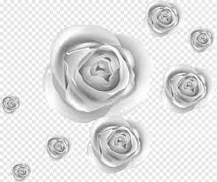 The white company beauty advent calendar. White Flowers Illustration Rose Silver Silver Roses Template White 3d Computer Graphics Png Pngwing