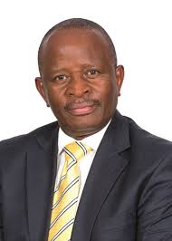 Protecting the Blue Swallow in the uMkhomazi Water Project