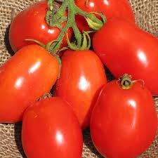 Comme L Indique Son Nom La Tomate Ropreco Paste Donne Des Fruits Rouges Qui Sont Excellents En Sauce Ou En Conserve Croissance Deter Vegetables Tomato Food