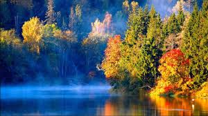 Image result for autumn photos