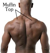 The muscular systems in vertebrates are controlled through the nervous system although some muscles. How To Draw Upper Back Muscles Form Proko