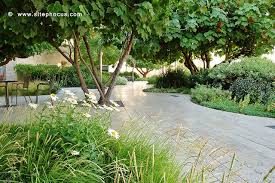 Disney Concert Hall Outdoor Landscaping Landscape Design Roof Garden