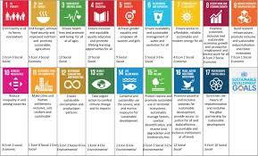 The sustainable development goals are the blueprint to achieve a better and more sustainable future for all. The Importance Of Achieving Foundational Sustainable Development Goals In Reducing Global Risk Sciencedirect