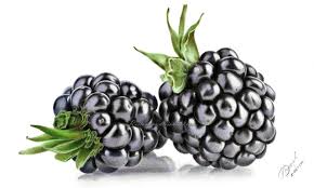 Free 3d fruit models available for download. Hyper Realistic Drawing Barbour Design