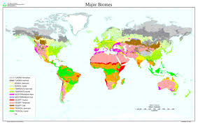 The Habitable Planet Unit 4 Ecosystems Online Textbook