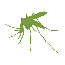 Top pest elimination is tarpon spring's number one owner operated pest control company. Soles Exterminating Pest Control Largo Fl Since 1981