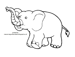Dan untuk ibunda yang mempunyai anak kecil dan akan mengenalkan gajah ini bisa dengan cara memberikan latihan mewarnai gambar sketsa hewan . Mewarnai Gambar Mewarnai Gambar Sketsa Hewan Gajah 1
