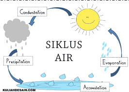 Ayo renungkan hari ini saya belajar tentang. 30 Poster Siklus Air Serta Penjelasannya Kuliah Desain