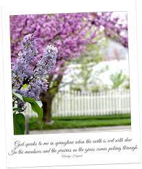 Inspirational Quote Springtime Photos Of Flowering Redbud Tree Lilac Tulips Violets With A Poem God Speaks To Me Spring Time Lilac Gardening Fairy Garden