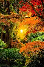 A Feast Of Colors Sunrise Japanese Garden Portland Oregon By Derek Kind Beautiful Landscapes Scenery Beautiful Nature