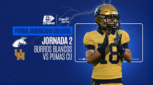 Burros Blancos vs Pumas CU, en vivo: transmisión de la semana 2 de la ONEFA 2026, hoy sábado 12 de septiembre