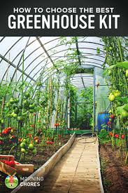 Check spelling or type a new query. 8 Best Greenhouse Kit Reviews For Winter Protection For Your Plants