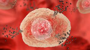 Image result for Histamine