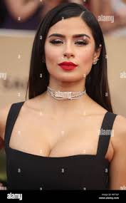 Los Angeles, USA. 29th Jan, 2017. Diane Guerrero at the 23rd Annual Screen  Actors Guild Awards held at the Shrine Expo Hall. Credit: F.  Sadou/AdMedia/ZUMA Wire/Alamy Live News Stock Photo