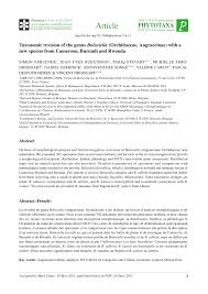 Image result for Bolusiella iridifolia