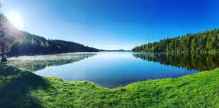 Färgelanda with its low population is preferring to boast its nature. Se Och Gora I Fargelanda