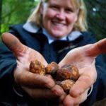 Oregon Truffle Hunt