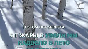 текст песни кабы небыло зимы в городах и селах Karaoke Iz Mf Zima V Prostokvashino Kaby Ne Bylo Zimy Youtube