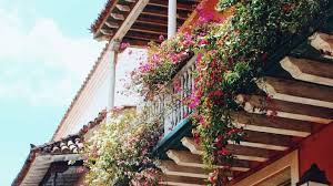 Quante volte ti è capitato di rimanere letteralmente a bocca aperta davanti a quei meravigliosi balconi con fiori pendenti dalle mille sfumature? Piante E Fiori Da Balcone I Tipi Per Inverno Ed Estate