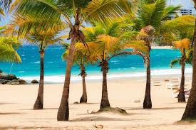 Sandals dunn's river holds special meaning to our family because its history is the story of jamaica's evolution as a travel powerhouse. Puerto Rico Ein Land Voller Uberraschungen Urlaubsguru De