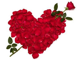 Happy Rose Day 2018 Whatsapp Dp For Boys Rose Flower Wallpaper Red Rose Petals Rose Day Wallpaper