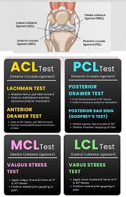 Image result for PCL Sulcus Test