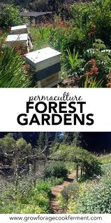Permaculture 101 What Is A Forest Garden Forest Garden Food Forest Garden Food Forest Design