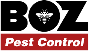 In it, players must defend an npc known as the void knight from an onslaught of monsters. Boz Pest Control In Lynn Ma