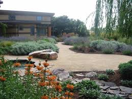 Mediterranean Garden With No Lawn Celebrating Regional Diversity Silicon Valley Style Mediterranean Garden Design Lawn And Landscape Mediterranean Garden