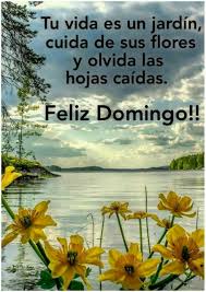 «para ti que lo mereces, te deseo un domingo lleno de alegría y amor. Bendecido Domingo Buenos Dias