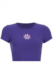 We did not find results for: Stylish Cartoon Flower Embroidery Short Sleeves Crew Neck Ribbed Crop T Shirt In Purple Beautifulhalo Com