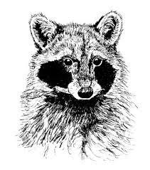 Check spelling or type a new query. Drawing Animals In Pen And Ink Art Starts