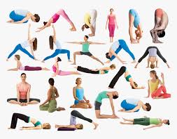 Explore this list of english and sanskrit names for yoga poses. Flow Yoga Poses Hot Yoga Poses Names Hd Png Download Transparent Png Image Pngitem