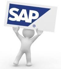 Few Tips To Understand The T Codes Of Sap Sap Coding Information Technology Services
